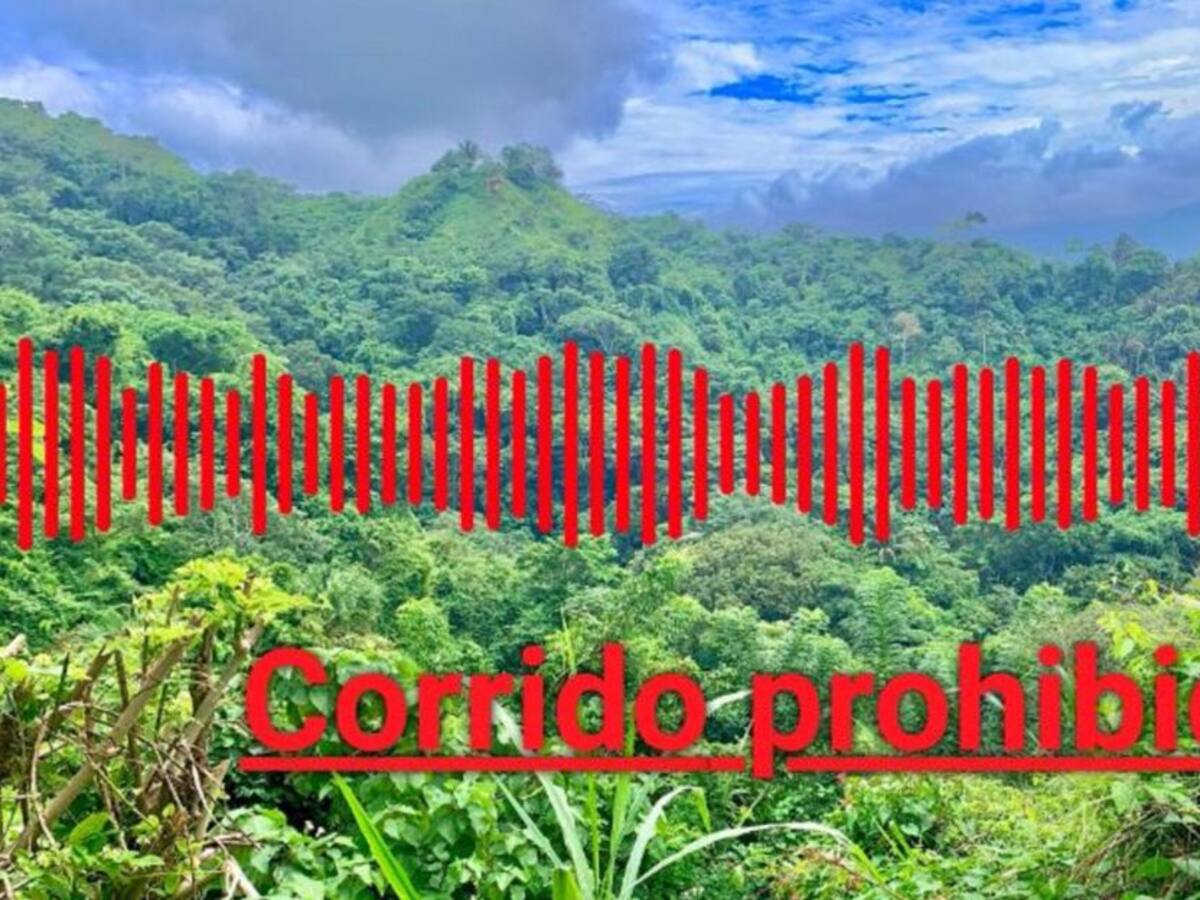 Aparece un corrido donde nombran a Pitaliso, supuesto capo de la Sierra
