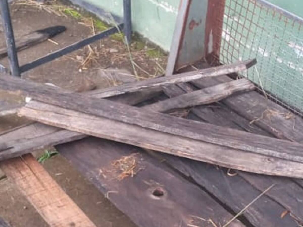 ¡Otra vez! Robaron en el estadio de atletismo en Armenia