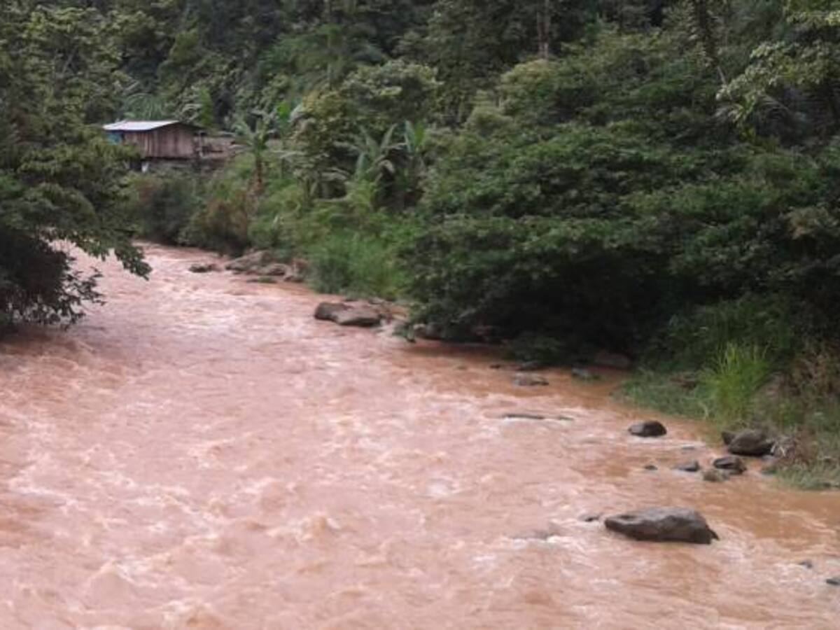 Menor de quince años desaparece en el río Cauca en el Jarillón de Cali