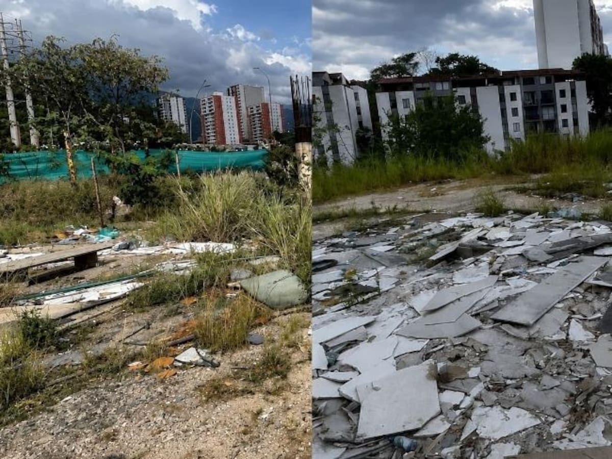 Tribunal mantiene sanción al gerente de Metrolínea por portal Papi Quiero Piña en Floridablanca