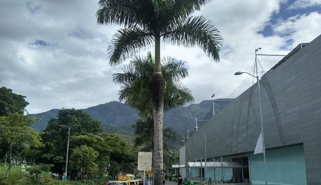 Corredor de la calle 60 de Ibagué 