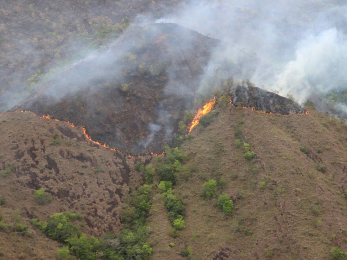 Ibagué y otros municipios del Tolima en alerta por posibles incendios forestales