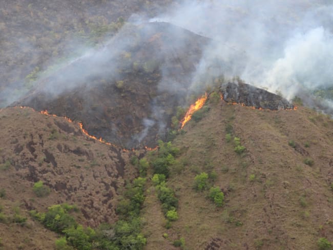 Ibagué y otros municipios del Tolima en alerta por posibles incendios forestales