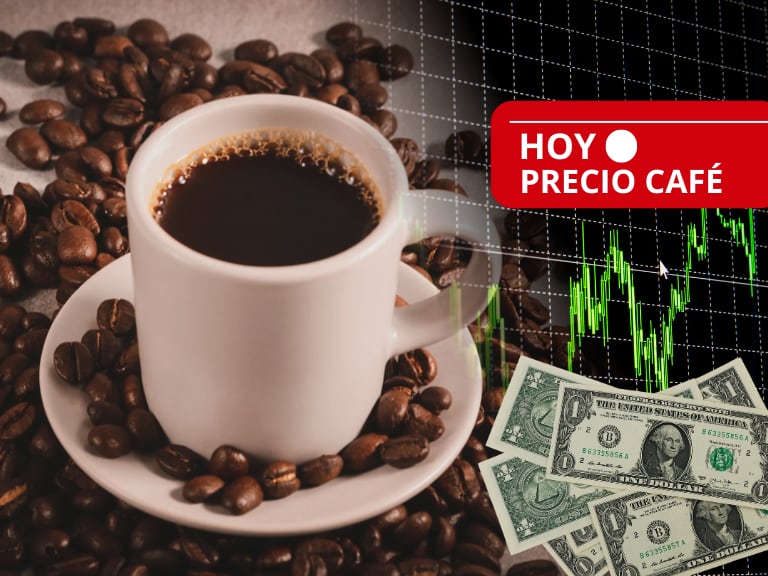 Precio del café HOY 16 de junio en Colombia: valor oficial de la carga en pesos y dólares, según FNC