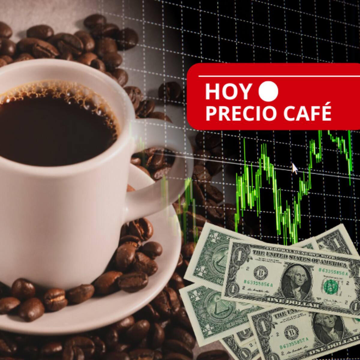 ¿Subió o bajó? Precio del café HOY 14 de enero en Colombia: Valor carga oficial, según FNC