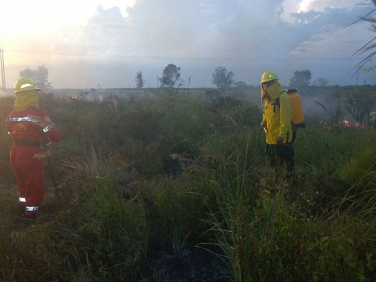 25 incendios forestales en municipios de Cundinamarca en las últimas horas