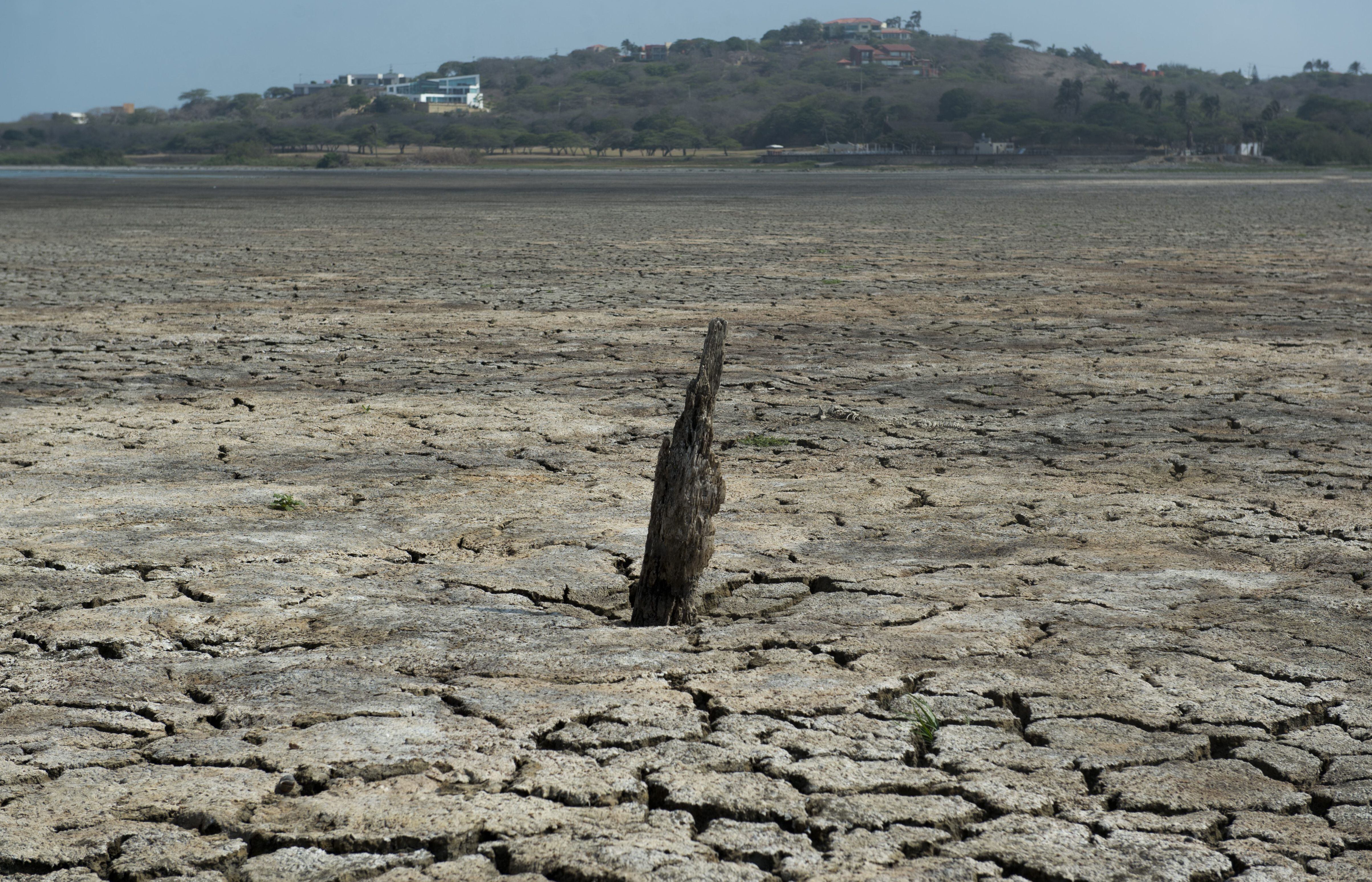 Puerto Colombia, en el departamento del Atlántico. Foto: EITAN ABRAMOVICH/AFP vía Getty Images)
