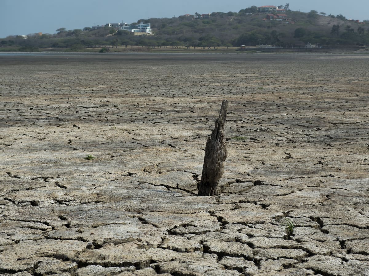 IDEAM declaró oficialmente fenómeno de El Niño en Colombia