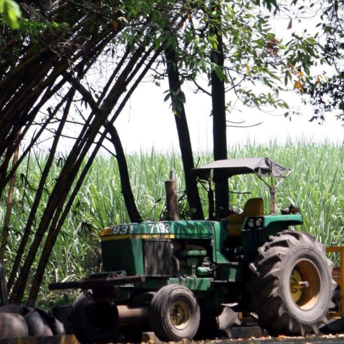 Arrancó propuesta de empleo para jóvenes del sector agroindustrial