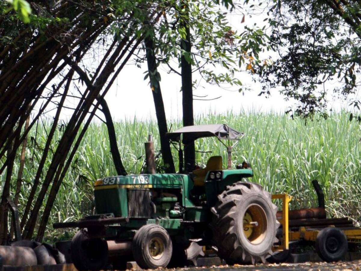 Arrancó propuesta de empleo para jóvenes del sector agroindustrial