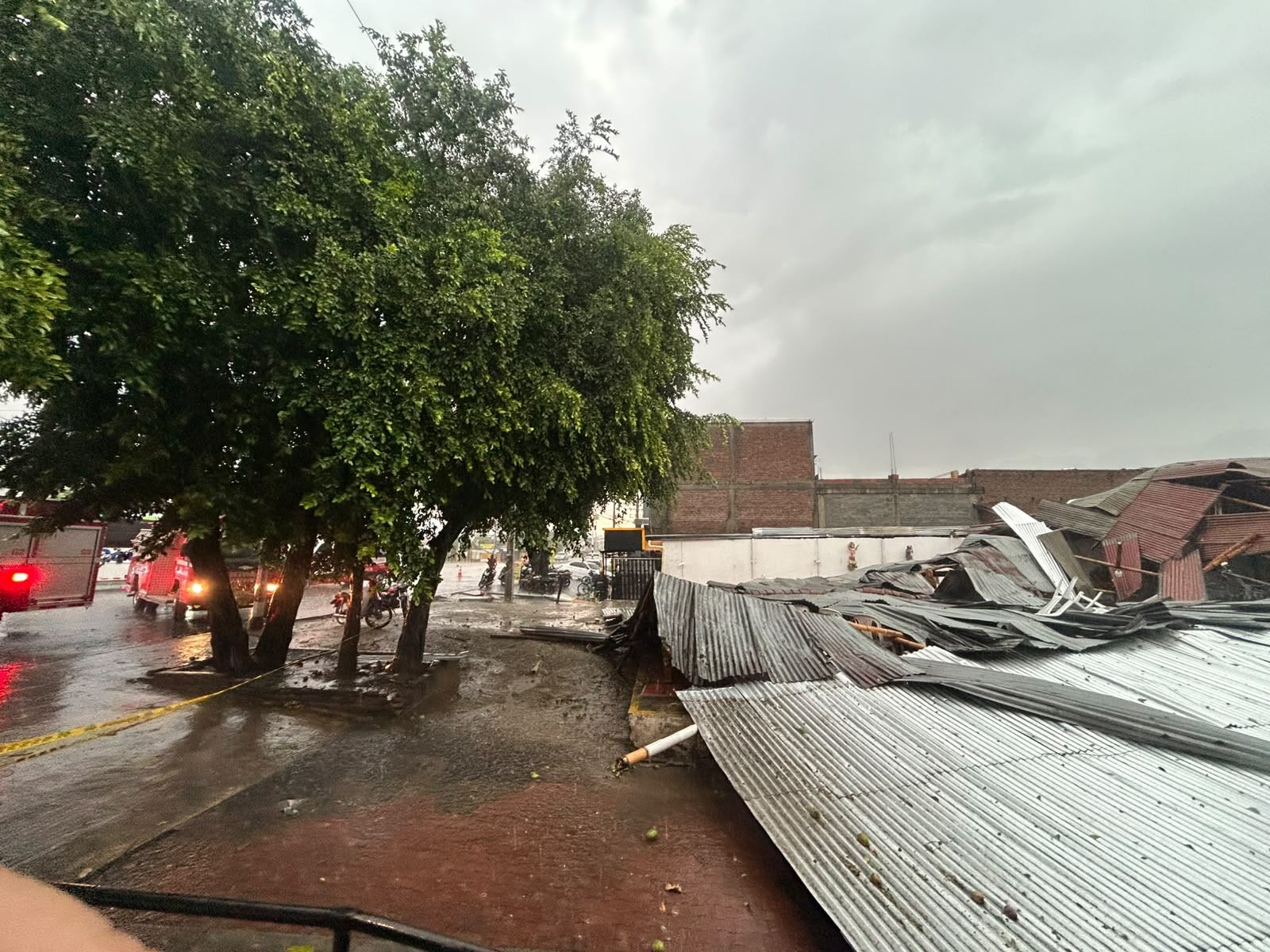 Vendaval en Palmira