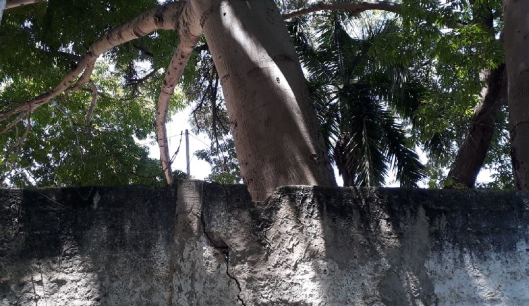 El caso fue denunciado por los habitantes del sector San José Obrero del barrio Olaya Herrera