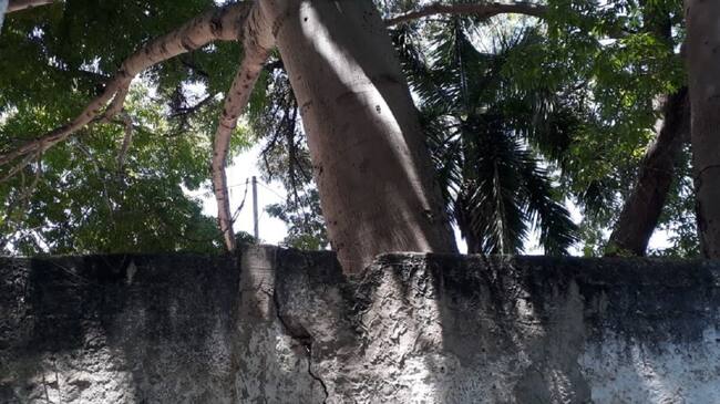 El caso fue denunciado por los habitantes del sector San José Obrero del barrio Olaya Herrera