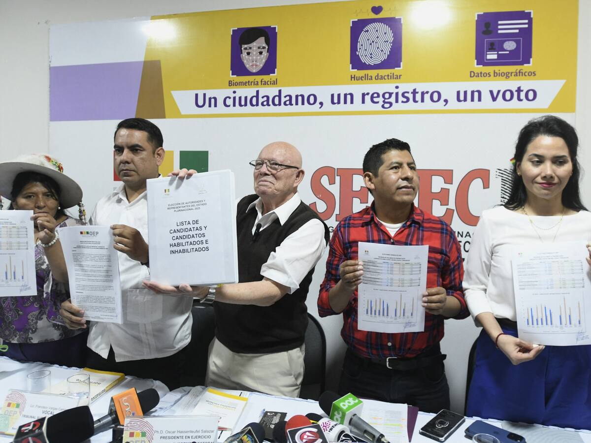 Elecciones en Bolivia: OEA rechaza intentos de entorpecer las votaciones