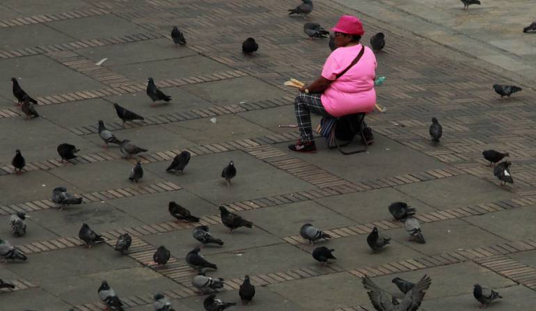 Imagen de Referencia 