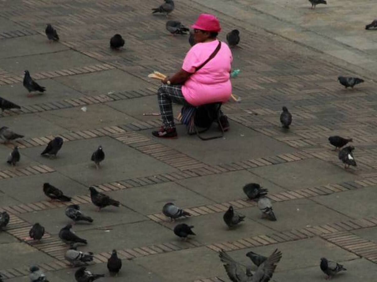 Más de 1000 vendedores ambulantes han pasado a la formalidad laboral