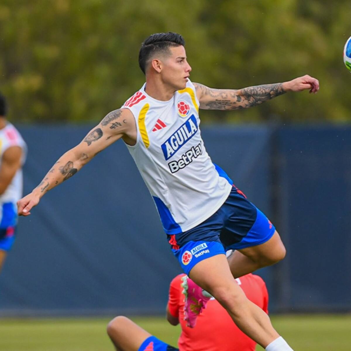Selección Colombia HOY: esta sería la nómina titular del amistoso ante Jordania