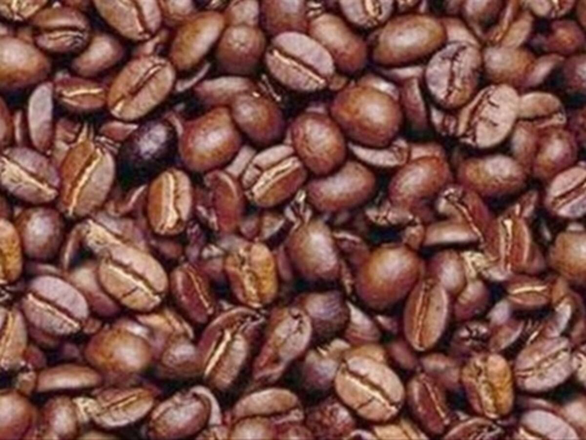 Producción de café en mayo fue de 1.2 millones de sacos