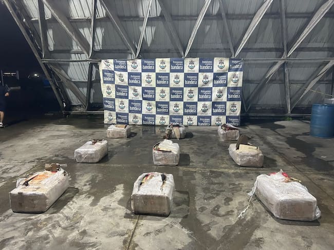 Se evitó la comercialización de más de 242 mil dosis de marihuana en el mercado ilegal internacional.