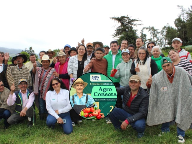 Más de 700 personas participan de este encuentro/ Imágenes de referencia