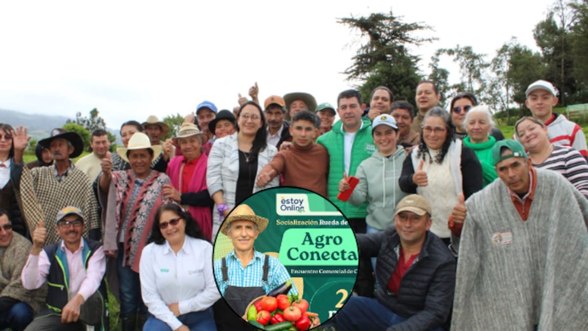 ¡Atención Boyacá! Agricultores podrán vender sus productos sin intermediarios ¿cómo?