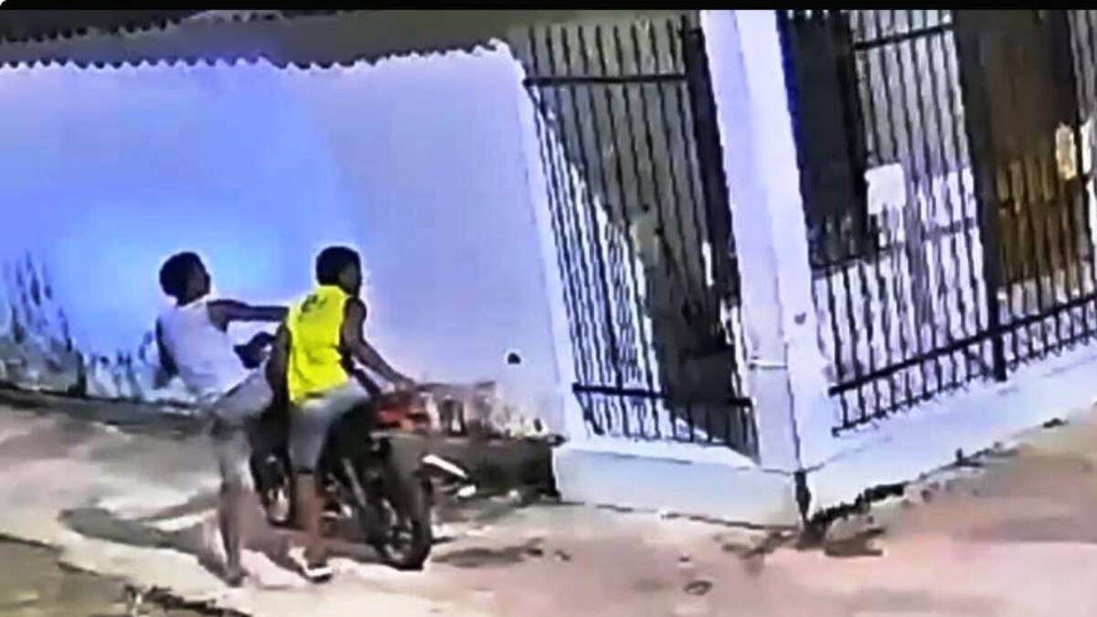$10 millones de recompensa por la captura de quienes agredieron a un perro con un machete