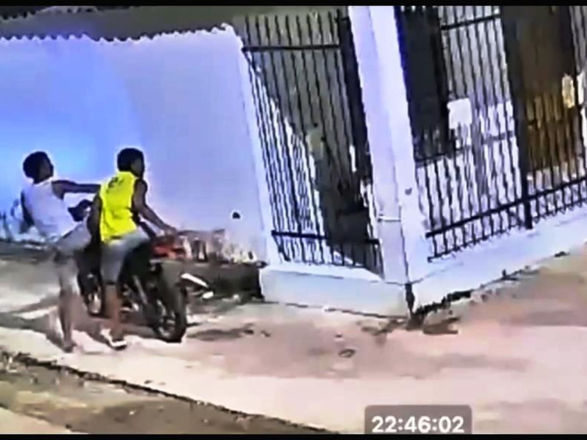 $10 millones de recompensa por la captura de quienes agredieron a un perro con un machete