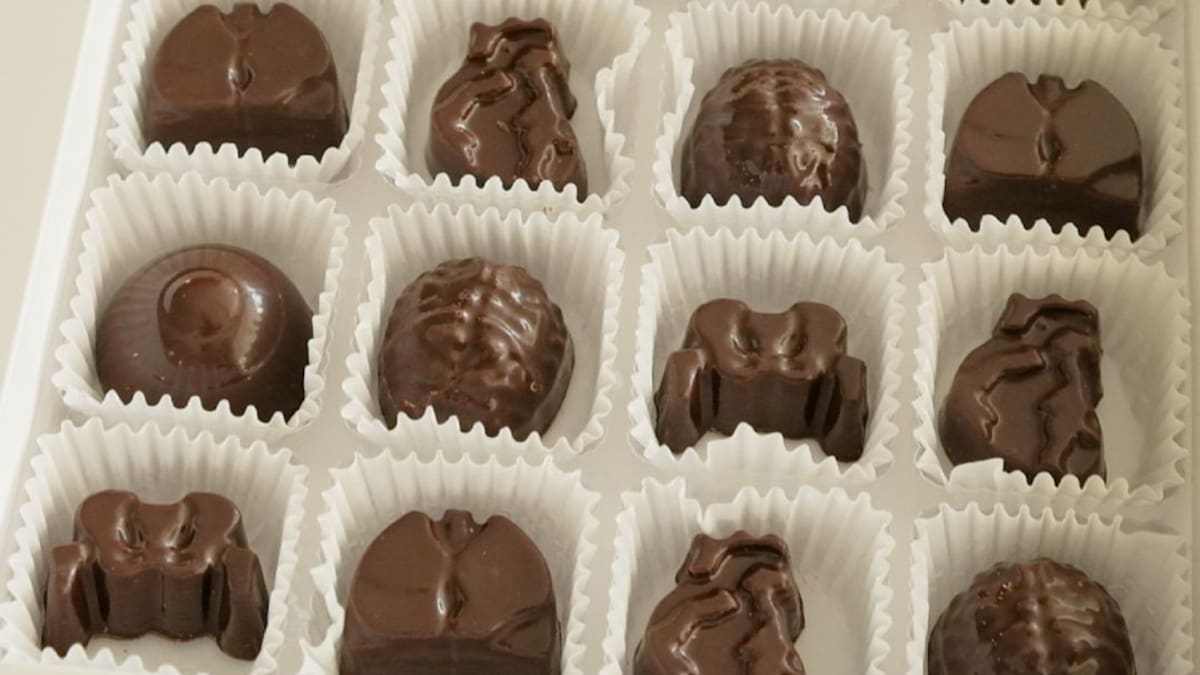 Científicos colombianos buscan reducir el daño del COVID-19 con chocolate