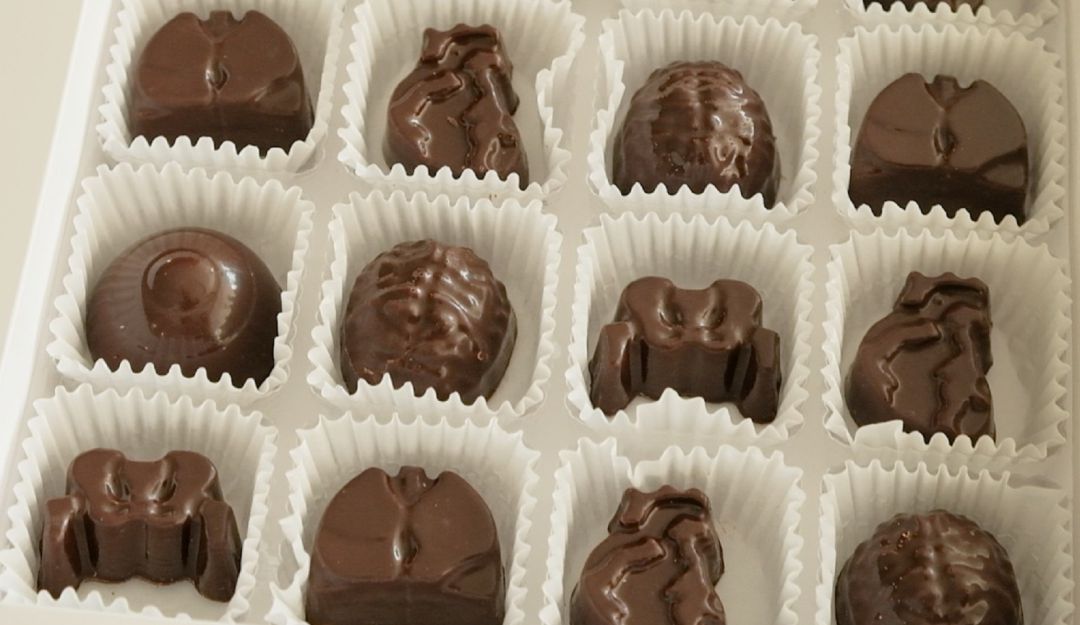 Científicos colombianos buscan reducir el daño del COVID-19 con chocolate