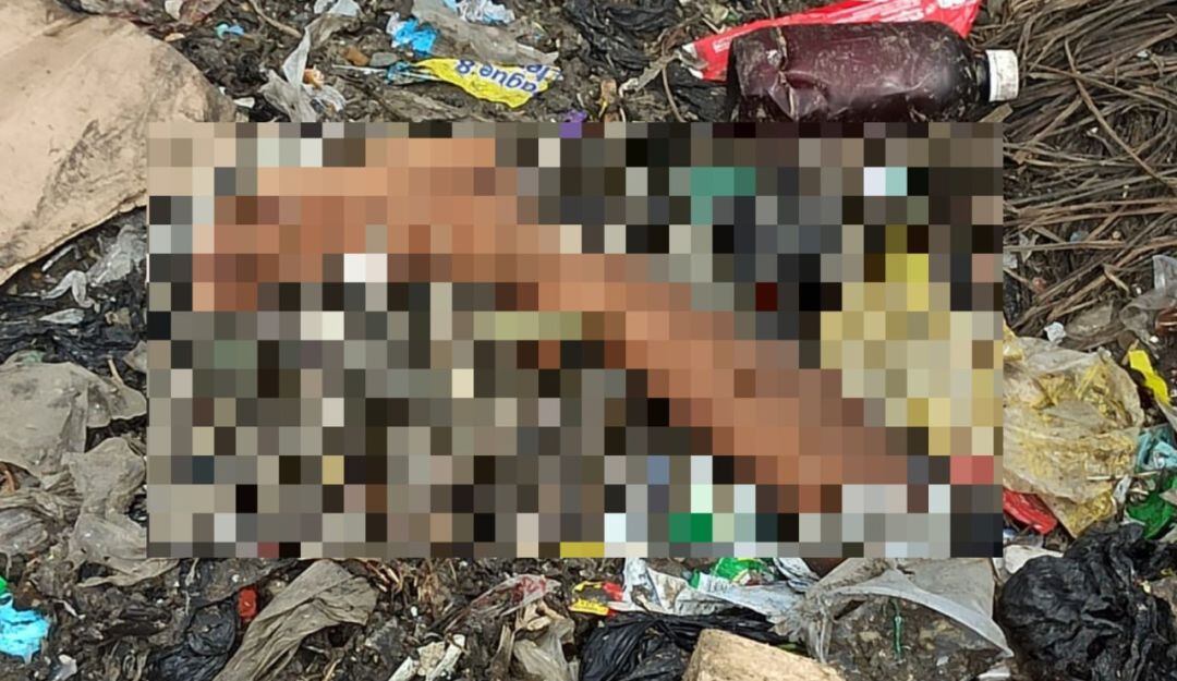 Hallan las extremidades de una persona