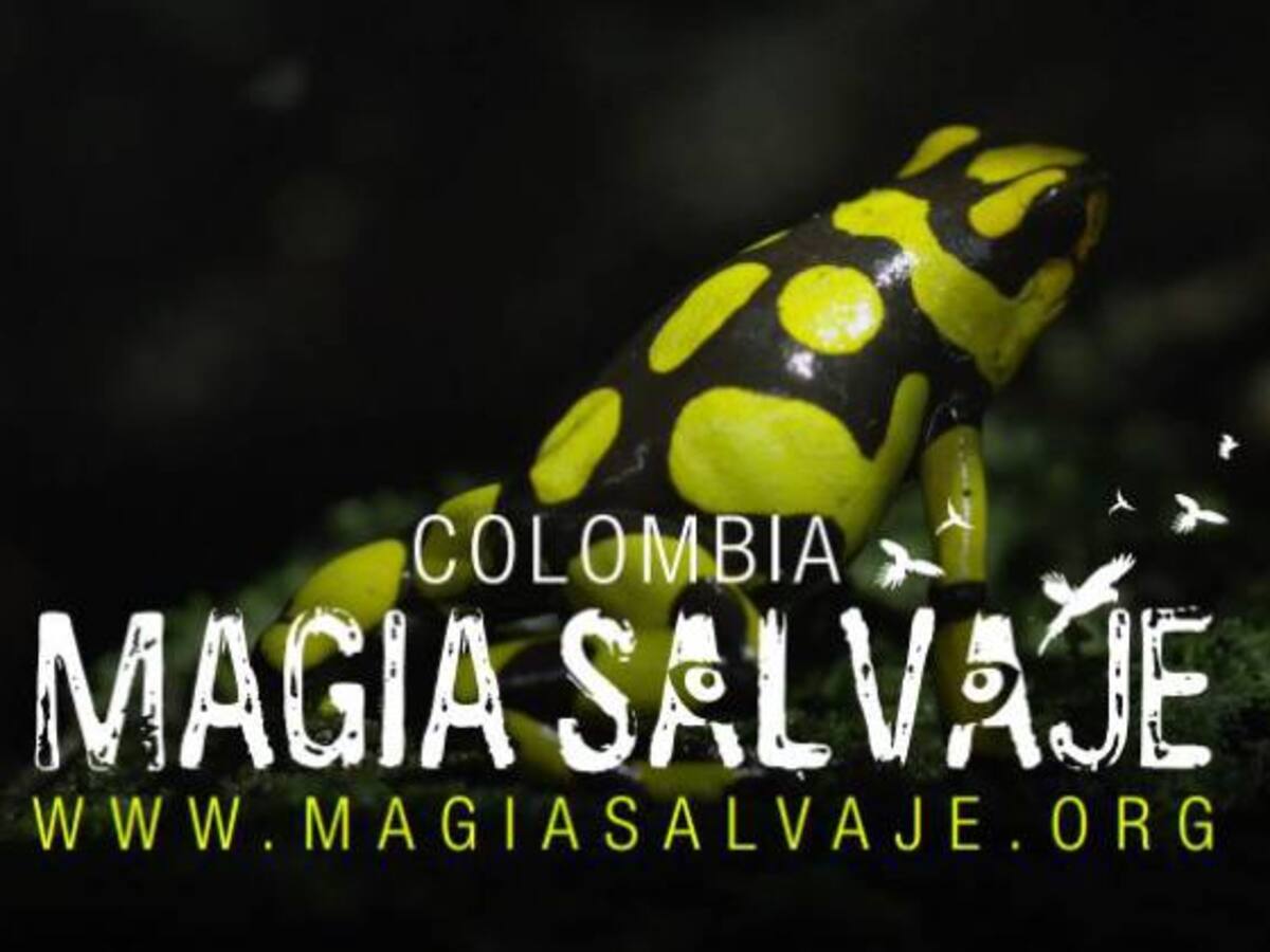 Este miércoles, estreno nacional de Colombia Magia Salvaje
