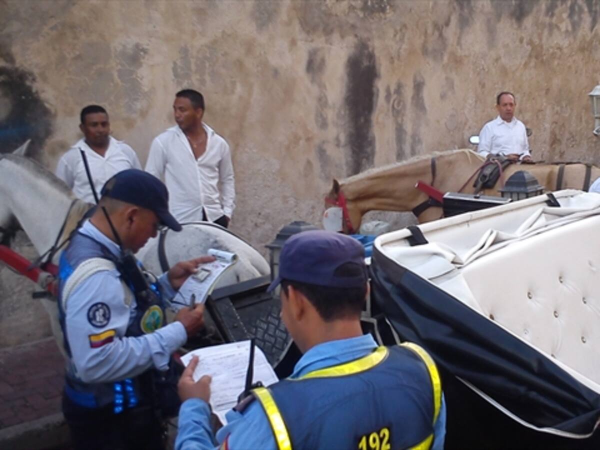 Defensoría del Pueblo pide al alcalde de Cartagena suspender coches