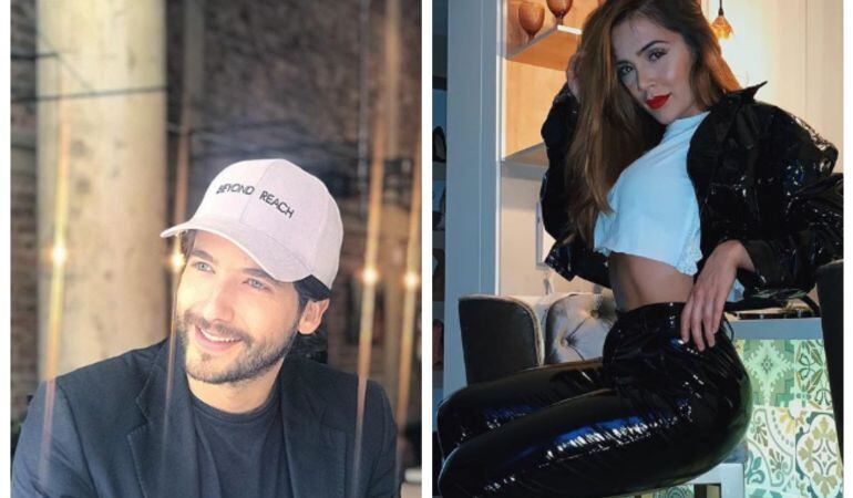 ¿En qué momento Lina Tejeiro y Carlos Torres fueron novios?