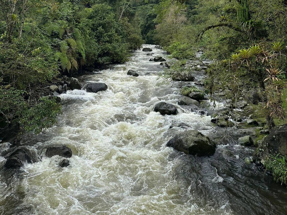 El Gobierno Nacional aprobó el CONPES para construir la PTAR de Pereira