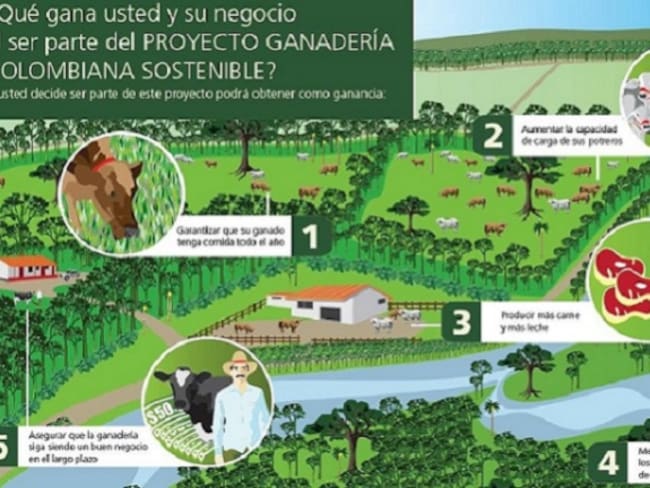 La ganadería sostenible, una realidad en Colombia