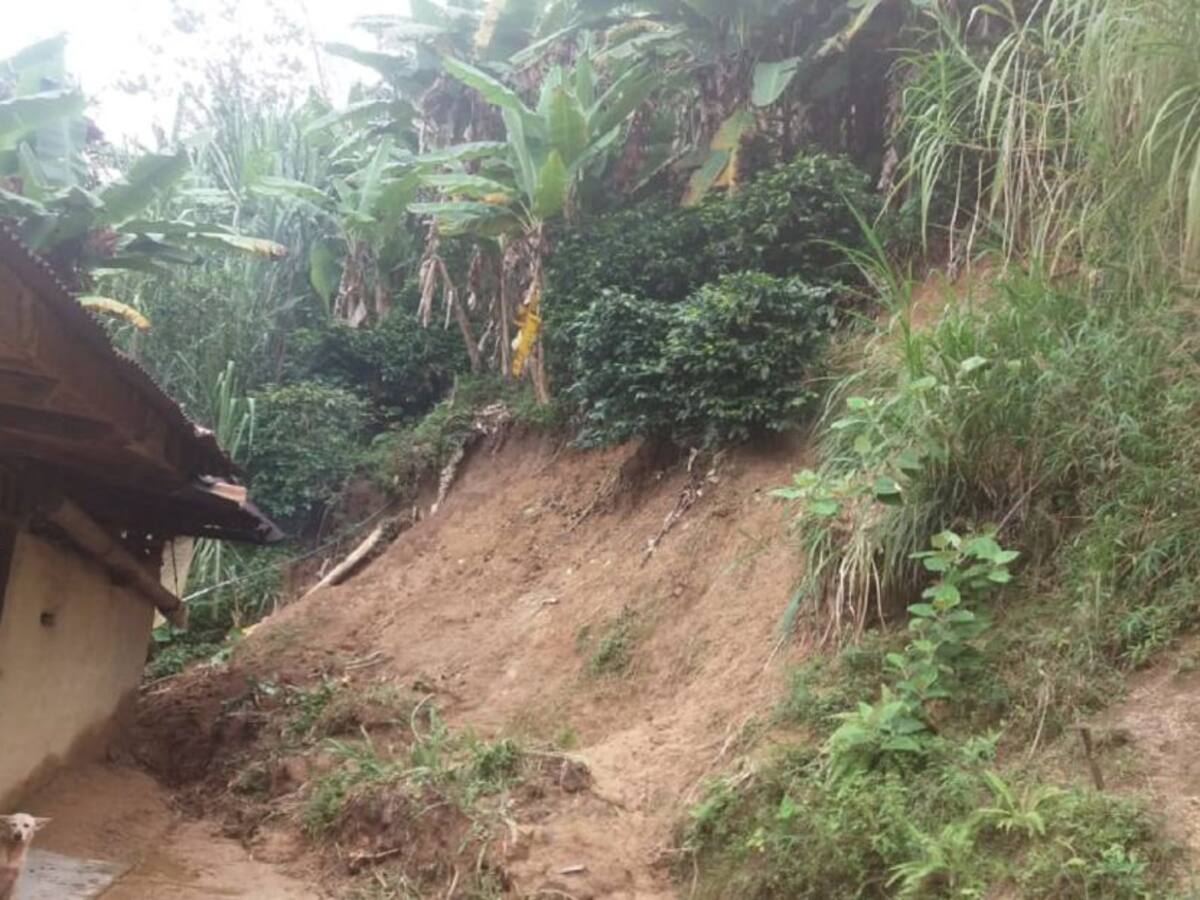 Deslizamientos afectan varias viviendas en el municipio de Ortega, Tolima