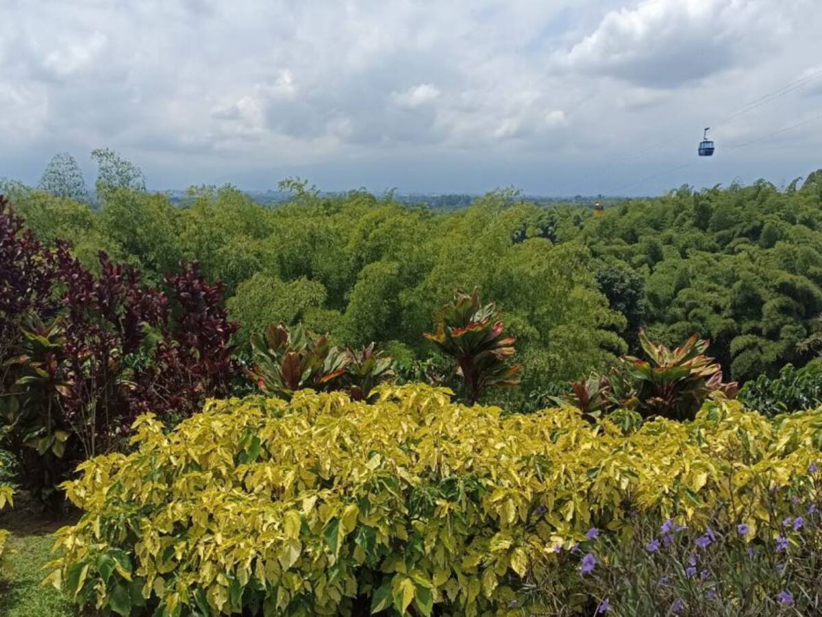 Viernes 19 de agosto, las noticias más importantes de Armenia y Quindío