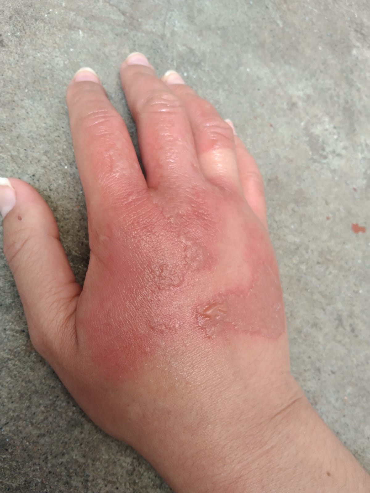 Foto: Suministrada Natalia Alzate