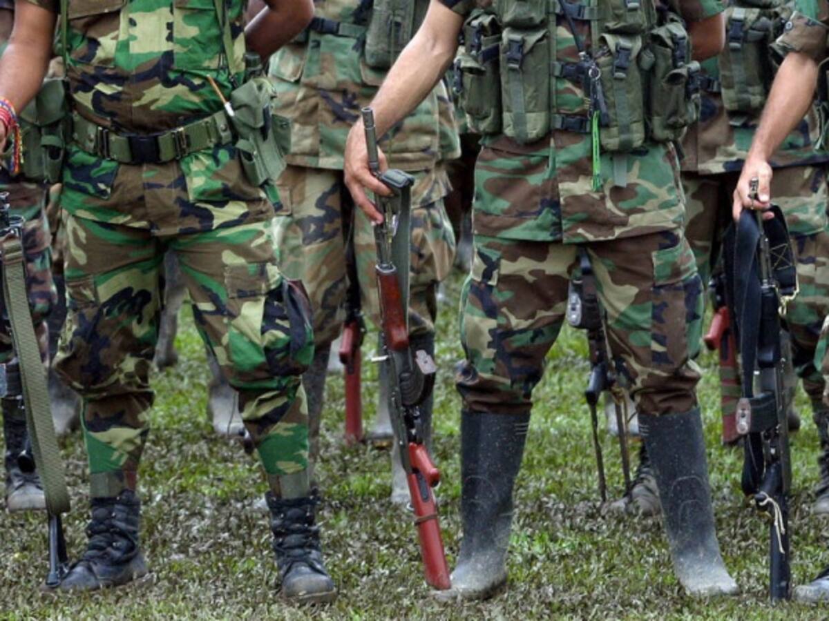 Exmiembros de las Farc demandarán al Estado Colombiano ante la CIDH