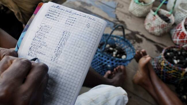 Denuncian que en zona rural de Tumaco campesinos deben pagar los profesores de sus hijos. Foto: Getty Images