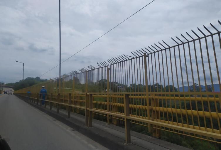 Faltan acciones para prevenir suicidios en el puente de la variante de Ibagué.
