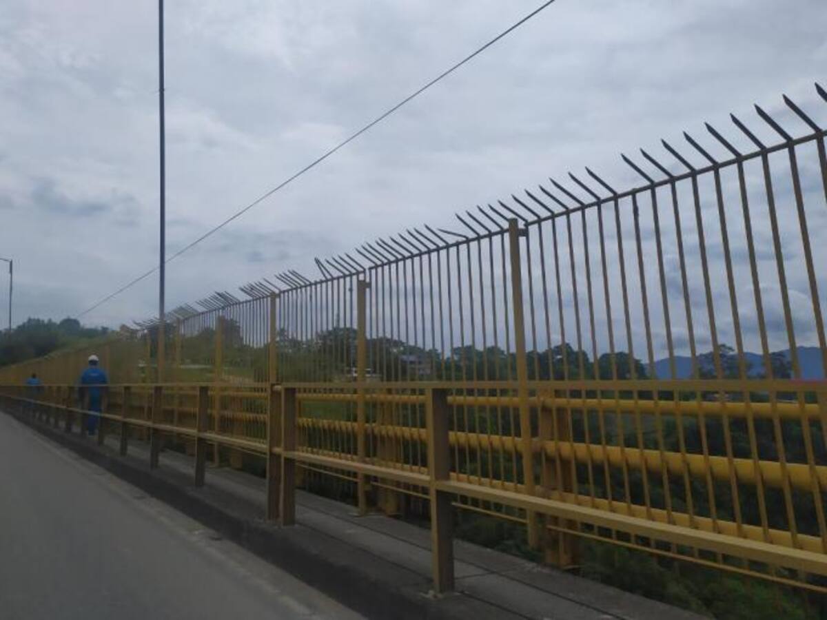Faltan acciones para prevenir suicidios en el puente de la variante de Ibagué