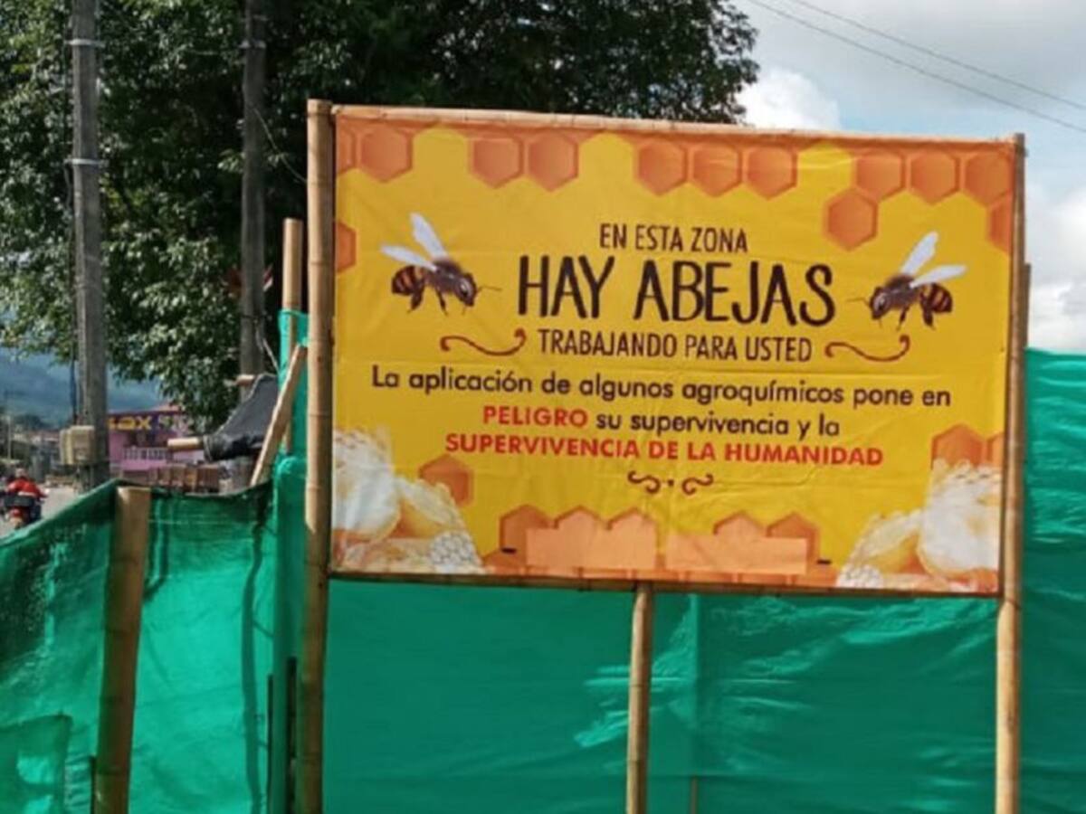 SOS Por la muerte masiva de abejas, presentan demanda contra el estado
