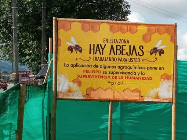 Preocupación muerte masiva de abejas