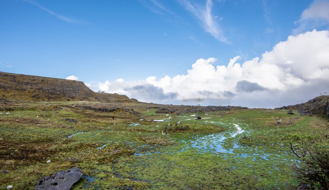 Chingaza significa, en lengua chibcha, “la serranía del dios de la noche”. Sus antiguos pobladores veneraban el páramo y el agua.