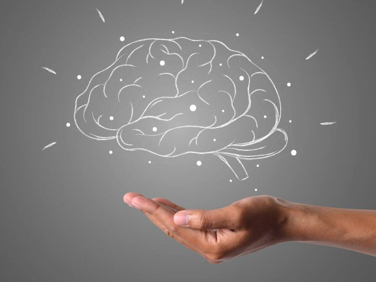 Una buena alimentación nos garantiza bienestar