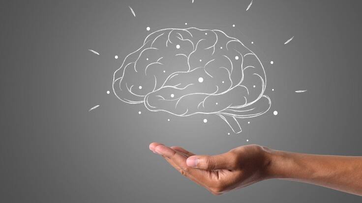 Una buena alimentación nos garantiza bienestar