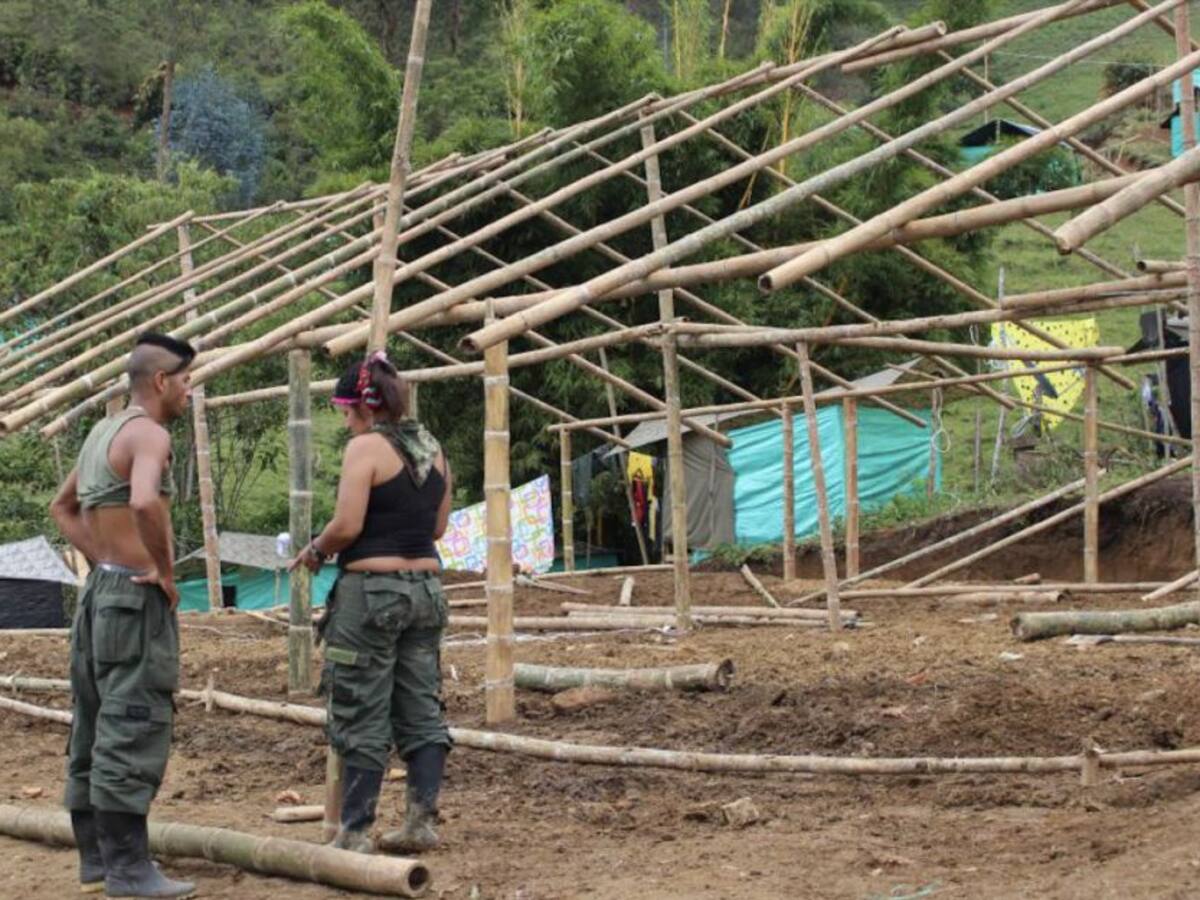 Gobierno trasladará a otros espacios a excombatientes de las Farc
