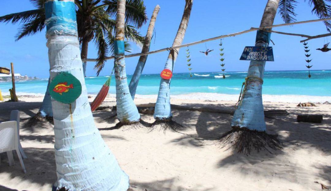 Imagen de referencia