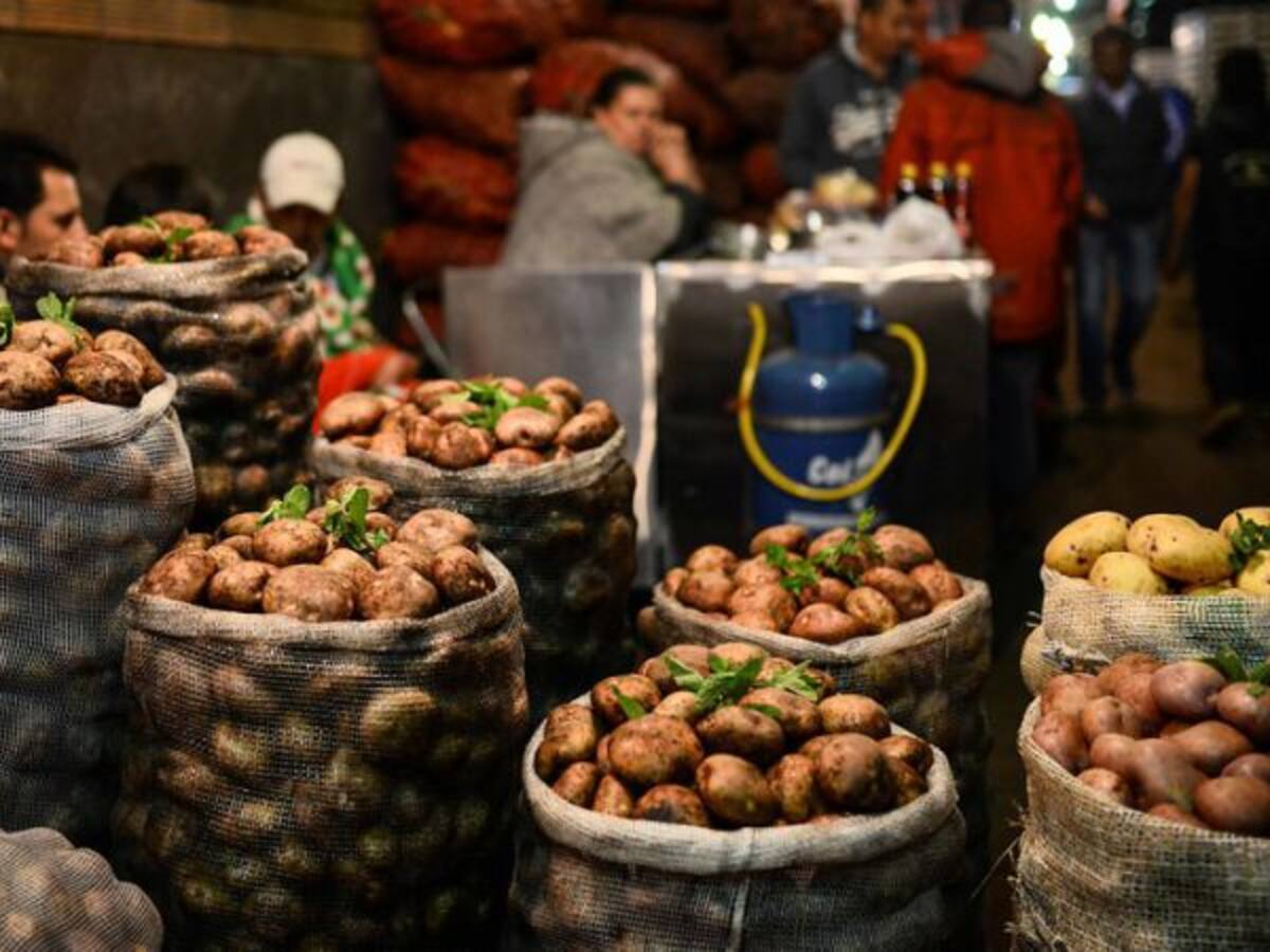 Corabastos envía 14 toneladas de alimentos a frontera con Venezuela